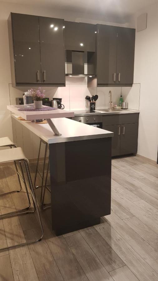 Boznicza Old Town Lux Apartment, Self Check-In 24H, Free Parking Πόζναν Εξωτερικό φωτογραφία