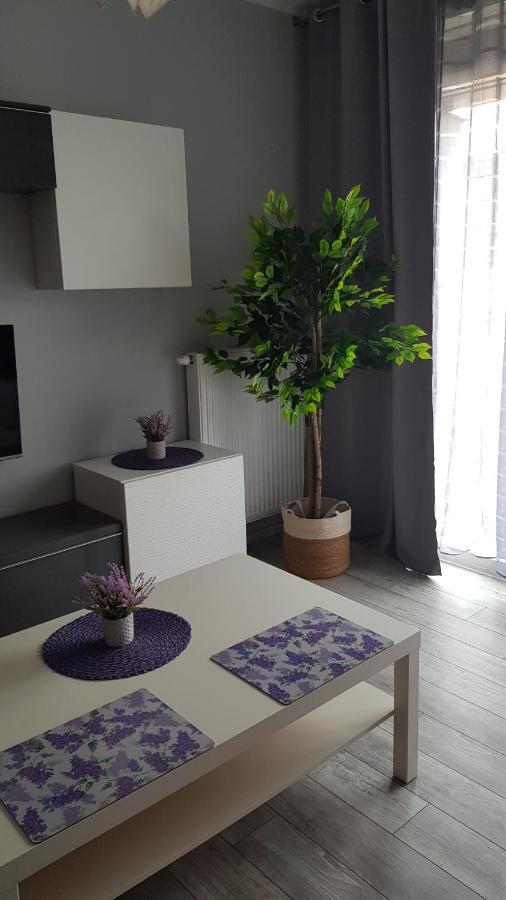 Boznicza Old Town Lux Apartment, Self Check-In 24H, Free Parking Πόζναν Εξωτερικό φωτογραφία