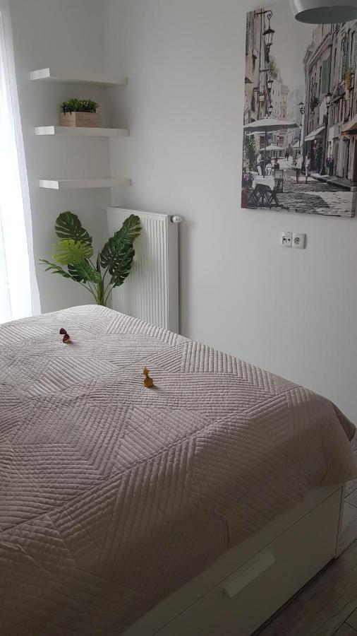 Boznicza Old Town Lux Apartment, Self Check-In 24H, Free Parking Πόζναν Εξωτερικό φωτογραφία